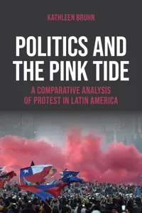 Politics and the Pink Tide_cover