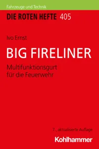 BIG FIRELINER_cover