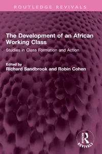 The Development of an African Working Class_cover