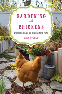 Gardening with Chickens_cover