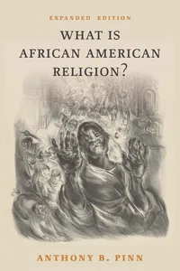 What Is African American Religion?_cover