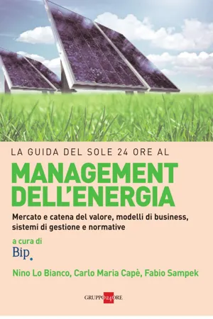 La guida del Sole 24 ore al management dell'energia