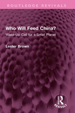 Who Will Feed China?