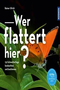 Wer flattert hier_cover