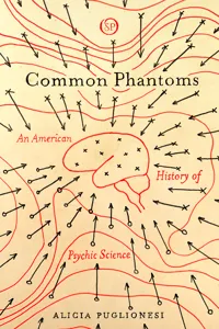 Common Phantoms_cover