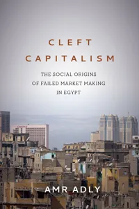 Cleft Capitalism_cover
