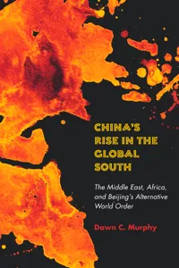 China's Rise in the Global South_cover