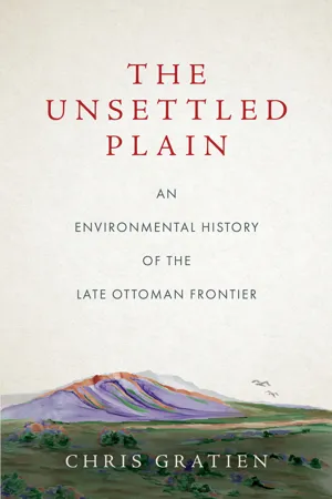 The Unsettled Plain