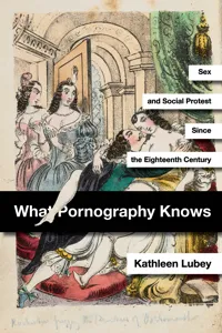What Pornography Knows_cover