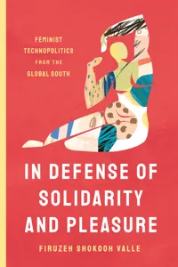 In Defense of Solidarity and Pleasure_cover