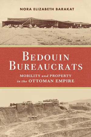 Bedouin Bureaucrats