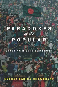 Paradoxes of the Popular_cover