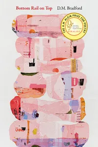 Bottom Rail on Top_cover