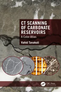 CT Scanning of Carbonate Reservoirs_cover