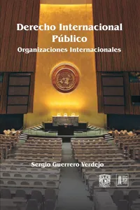 Derecho Internacional Público: Organizaciones internacionales_cover