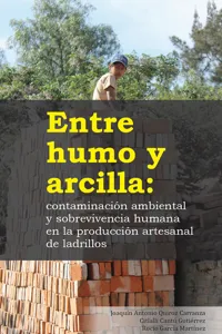 Entre humo y arcilla: contaminación ambiental y sobrevivencia humana en la producción artesanal de ladrillos_cover