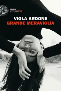 Grande meraviglia_cover