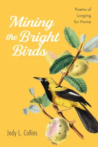 Mining the Bright Birds_cover