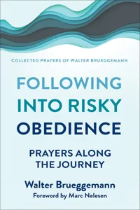 Following into Risky Obedience_cover