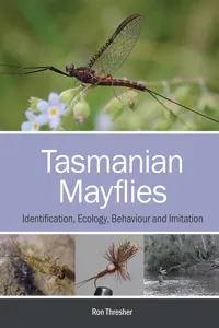 Tasmanian Mayflies_cover