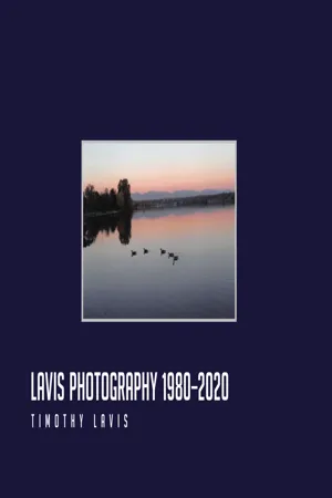 Lavis Photography - 1980-2020