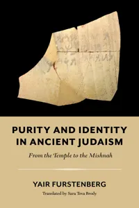Purity and Identity in Ancient Judaism_cover