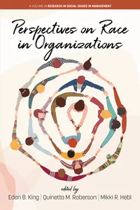 Perspectives on Race in Organizations_cover