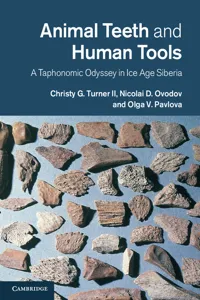 Animal Teeth and Human Tools_cover