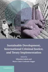 Sustainable Development, International Criminal Justice, and Treaty Implementation_cover