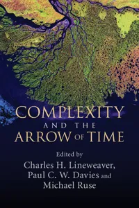 Complexity and the Arrow of Time_cover