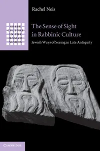 The Sense of Sight in Rabbinic Culture_cover