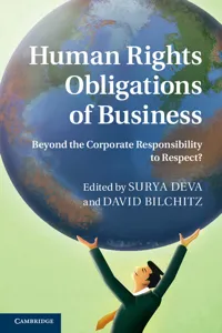 Human Rights Obligations of Business_cover