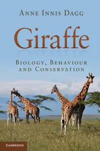 Giraffe_cover