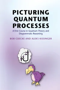 Picturing Quantum Processes_cover