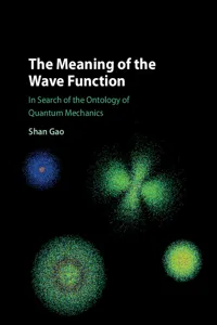 The Meaning of the Wave Function_cover