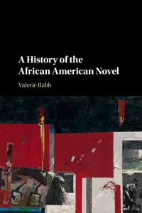 A History of the African American Novel_cover