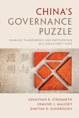 China's Governance Puzzle