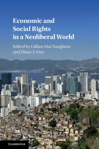 Economic and Social Rights in a Neoliberal World_cover