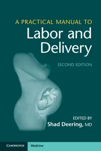 A Practical Manual to Labor and Delivery_cover