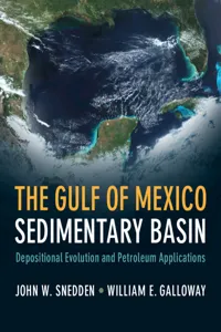 The Gulf of Mexico Sedimentary Basin_cover