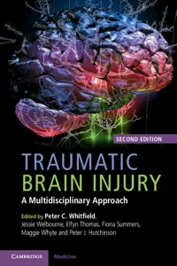 Traumatic Brain Injury_cover