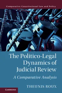 The Politico-Legal Dynamics of Judicial Review_cover