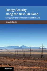 Energy Security along the New Silk Road_cover