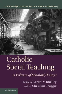 Catholic Social Teaching_cover