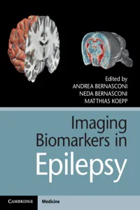 Imaging Biomarkers in Epilepsy_cover