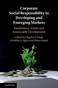 Corporate Social Responsibility in Developing and Emerging Markets_cover