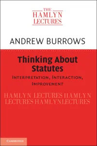 Thinking about Statutes_cover