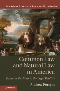 Common Law and Natural Law in America_cover