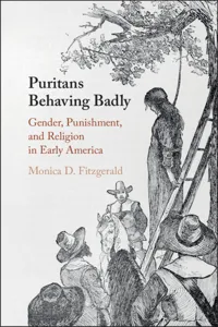 Puritans Behaving Badly_cover