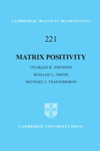 Matrix Positivity_cover